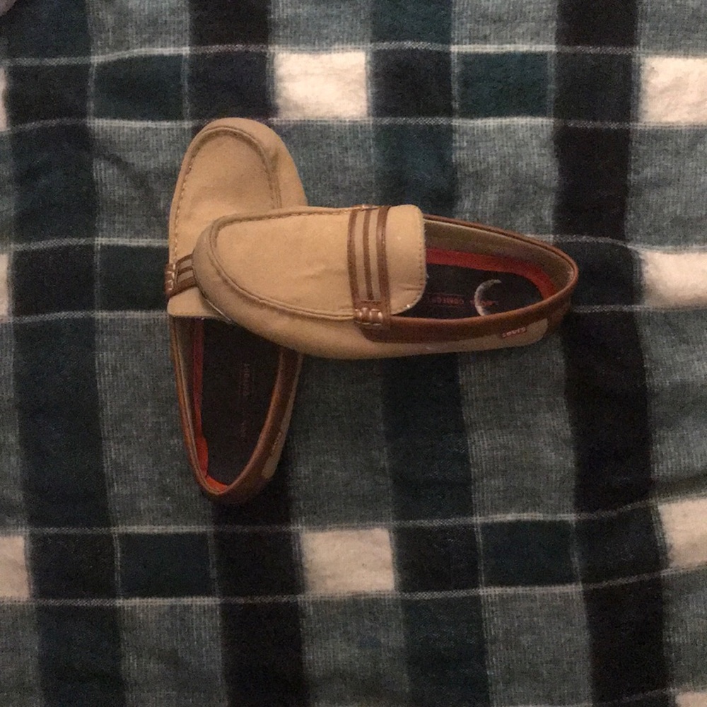 Levi flats